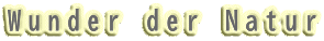 Wunder der Natur