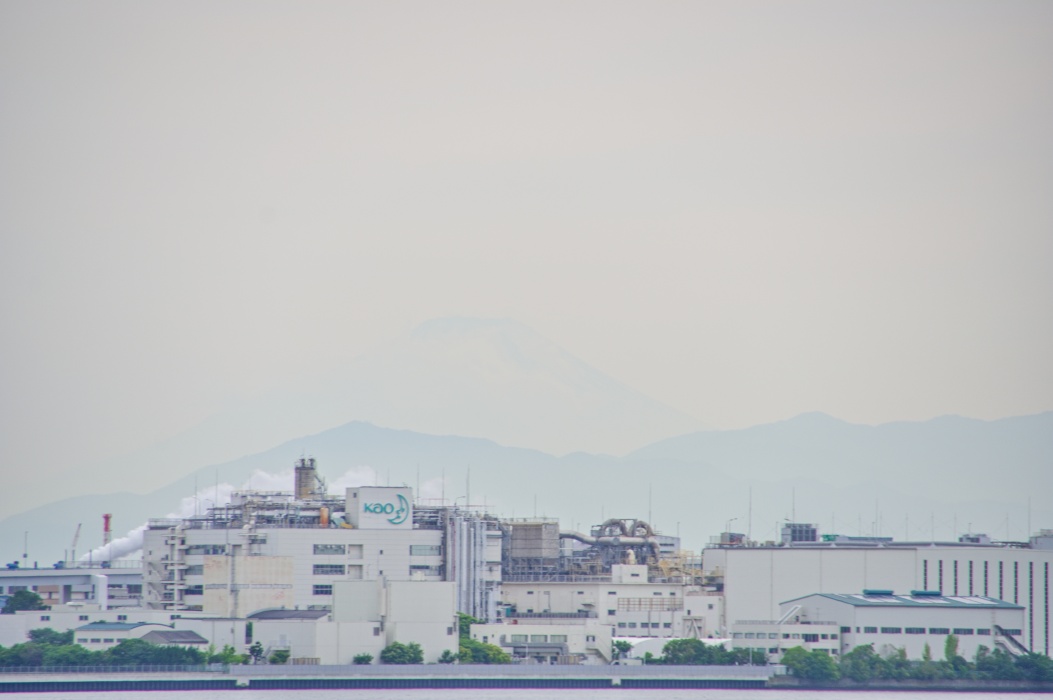 向こうに見えるは富士山…