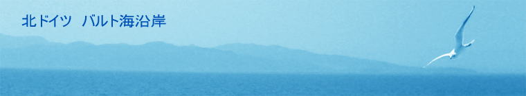 �k�h�C�c�@�o���g�C����