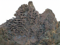 fels1_thumb.png